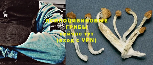 ALPHA-PVP Алексин