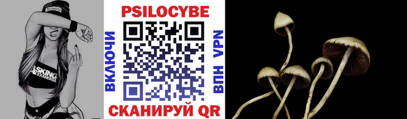 где найти   Бодайбо  Псилоцибиновые грибы мухоморы 