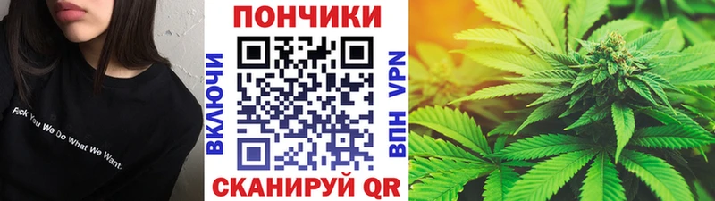 мега как войти  Бодайбо  Марихуана сатива 